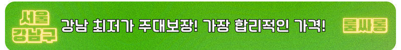 강남 사라있네