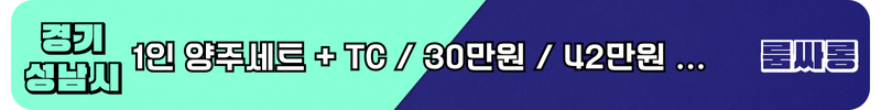 성남시 룸싸롱