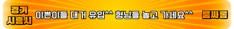 시흥시 룸싸롱